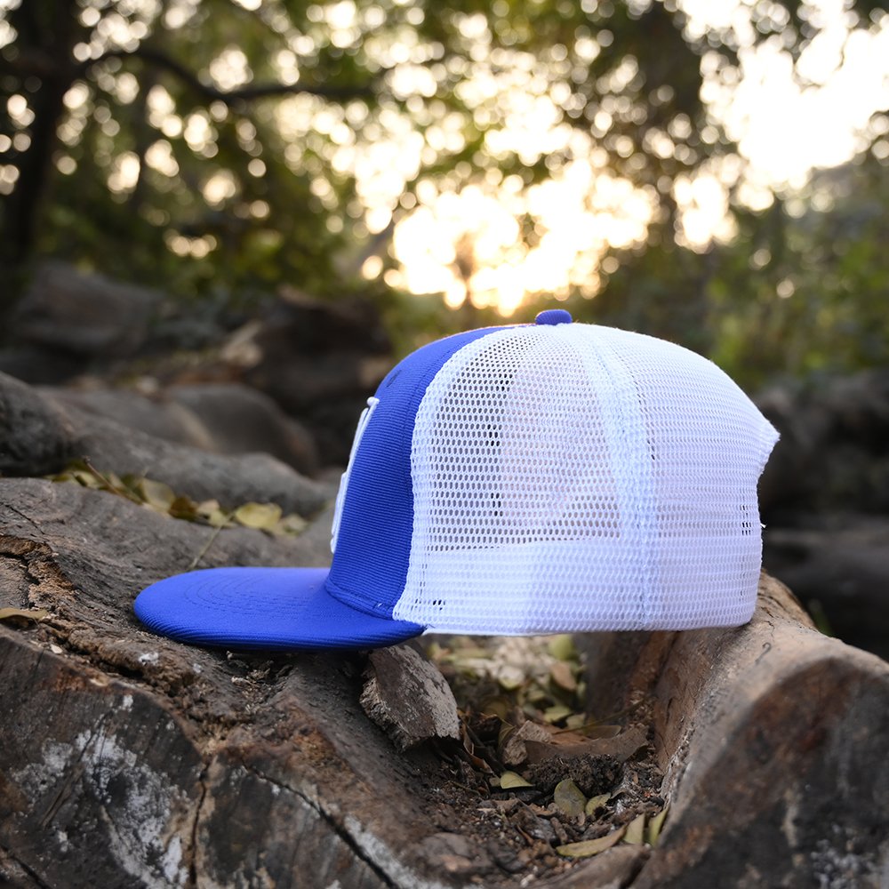 Blue/White Hip Hop Cap 12668