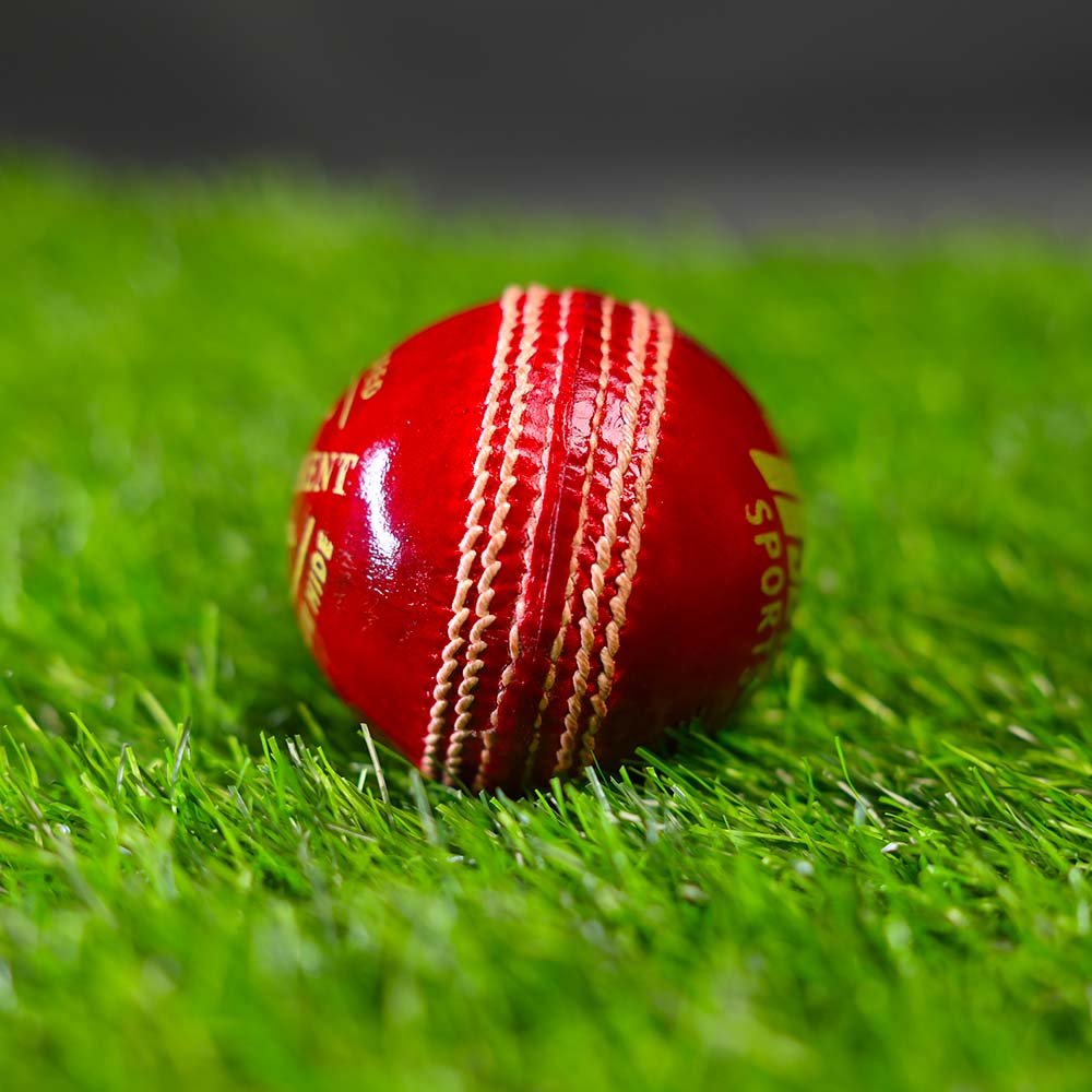 SD18 Tournament Red Ball