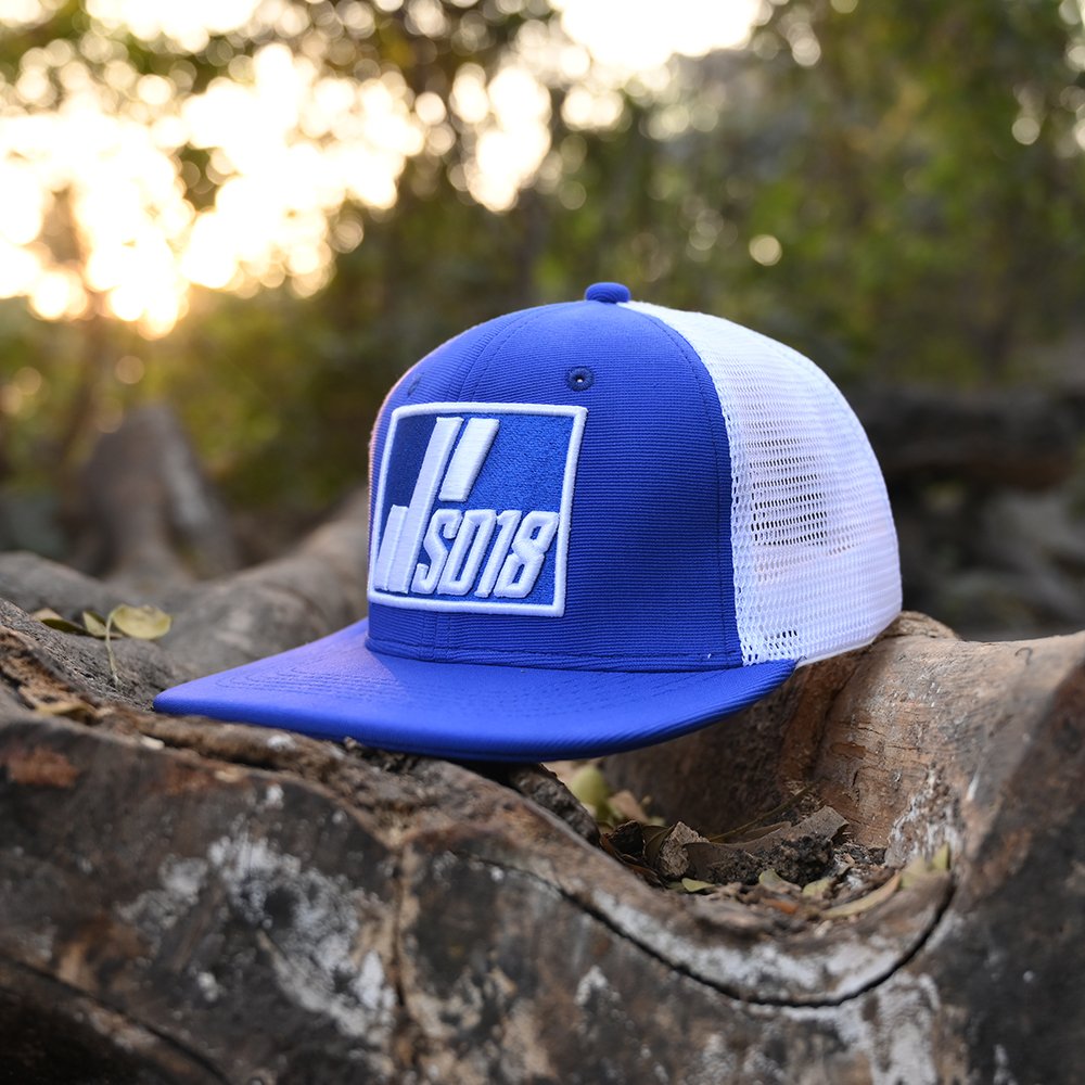 Blue/White Hip Hop Cap 12668