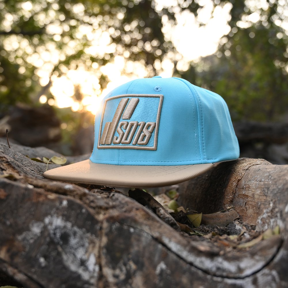 SKY BLUE/GOLDEN Hip Hop Cap 12679